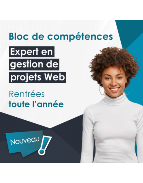 Expert en gestion de projet...