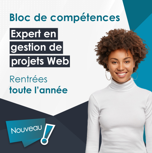 Bloc de compétences Expert en gestion de projet web - Andilcampus